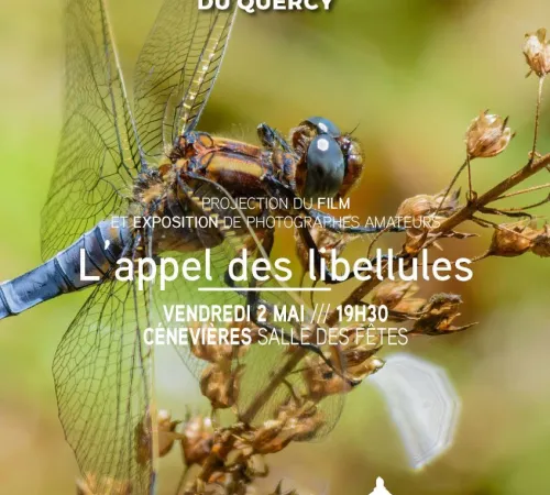 Exposition au musée Champollion à Figeac : « Notations de la Danse »