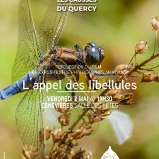 Exposition au musée Champollion à Figeac : « Notations de la Danse »