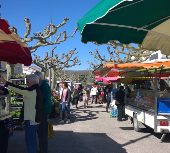 Marché bio à Saint-Laurent-Lolmie