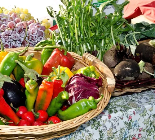Marché à Limogne-En-Quercy