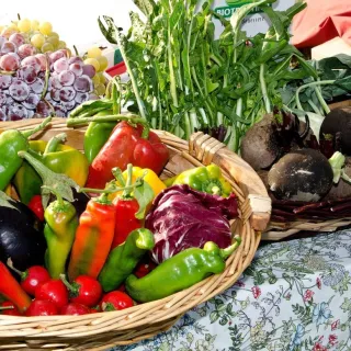 Concert dessiné "Murmurations" de tAk & Demont à l'Arsénic