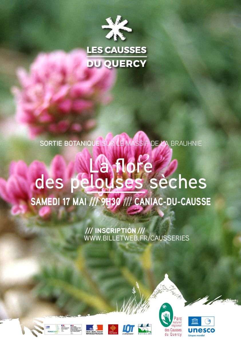 Marché de Castelfranc