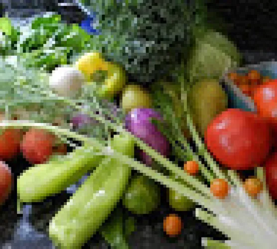 Club de lecture à la bibliothèque de Fontanes