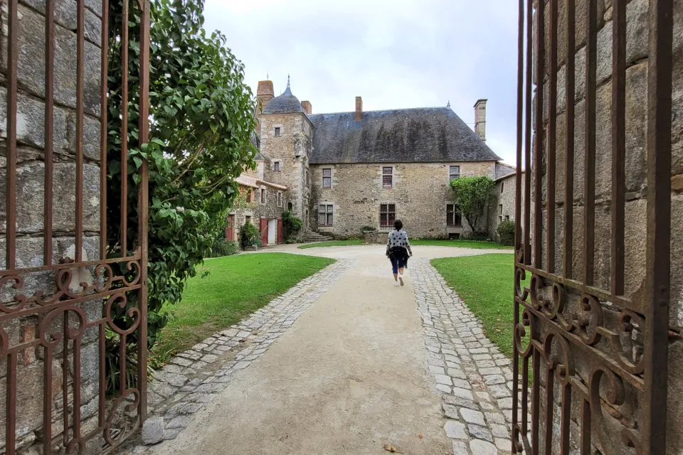 Titre de l'annonce